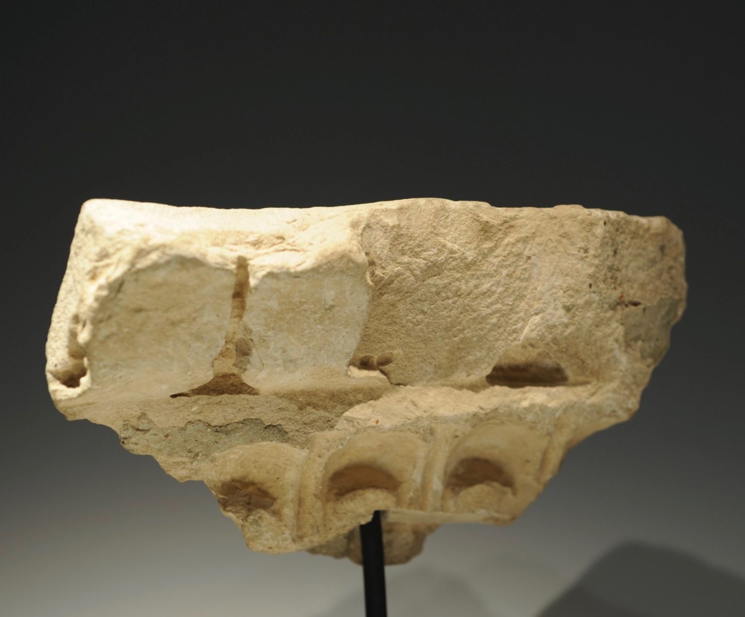 Ionic capital fragment