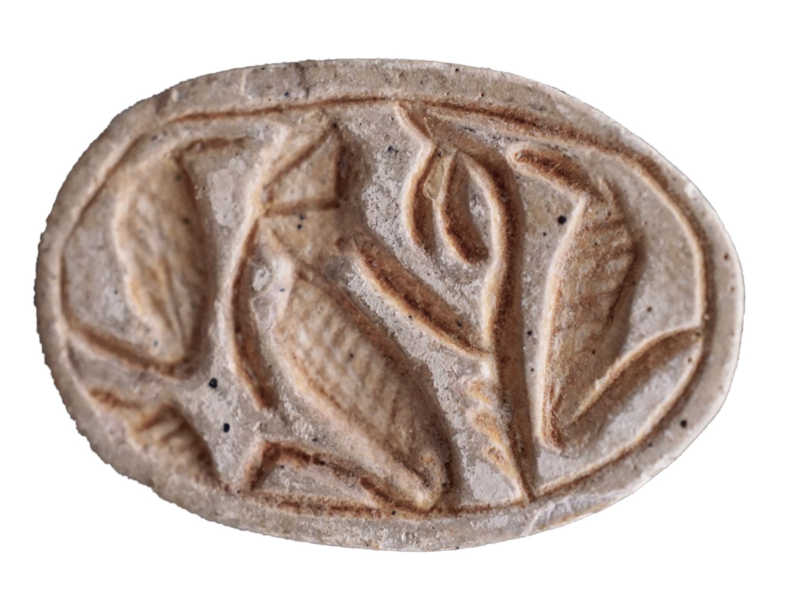 A Canaanite Scarab