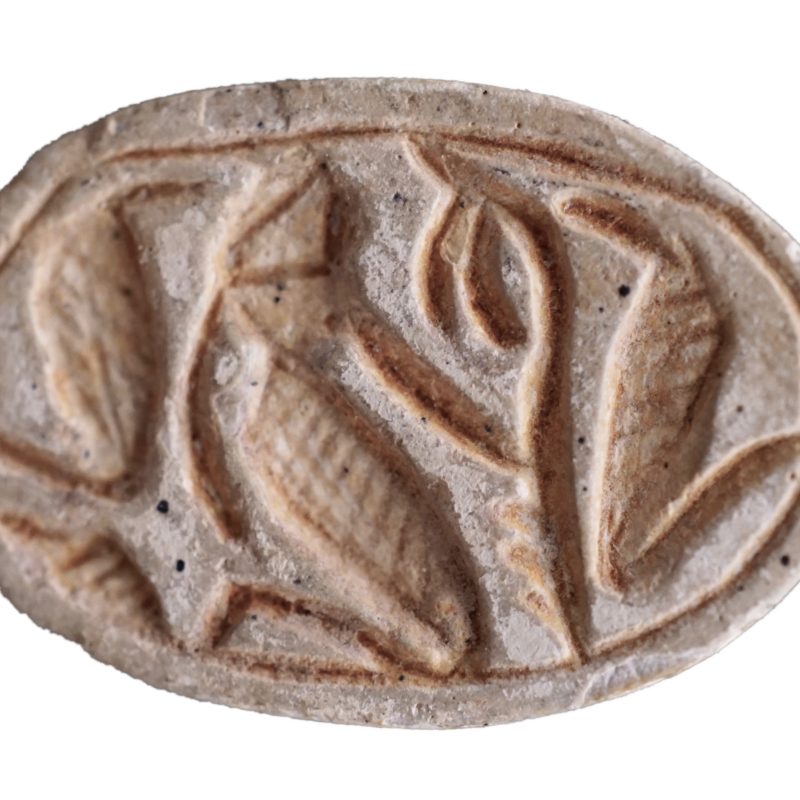 A Canaanite Scarab